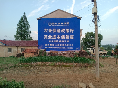 白水墙体广告的优劣势你知道吗？